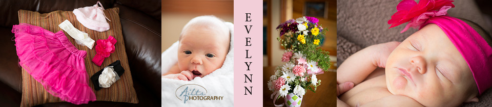 evelynnfeaturedimage